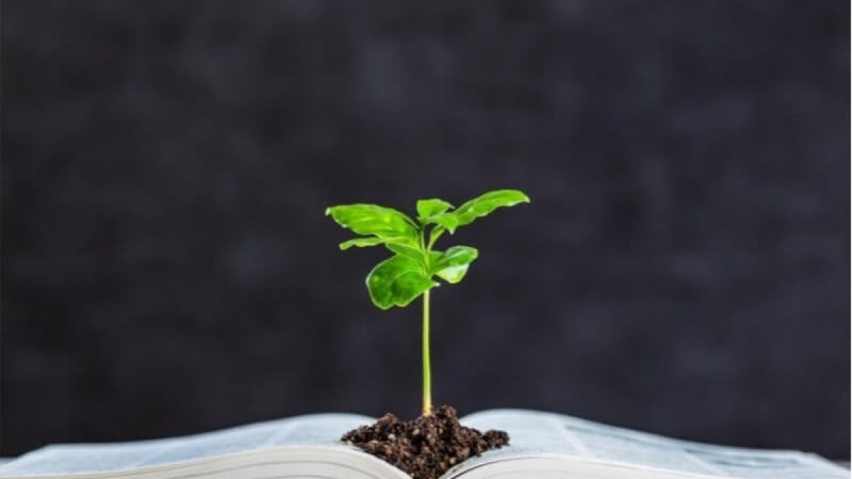 Educação Ambiental