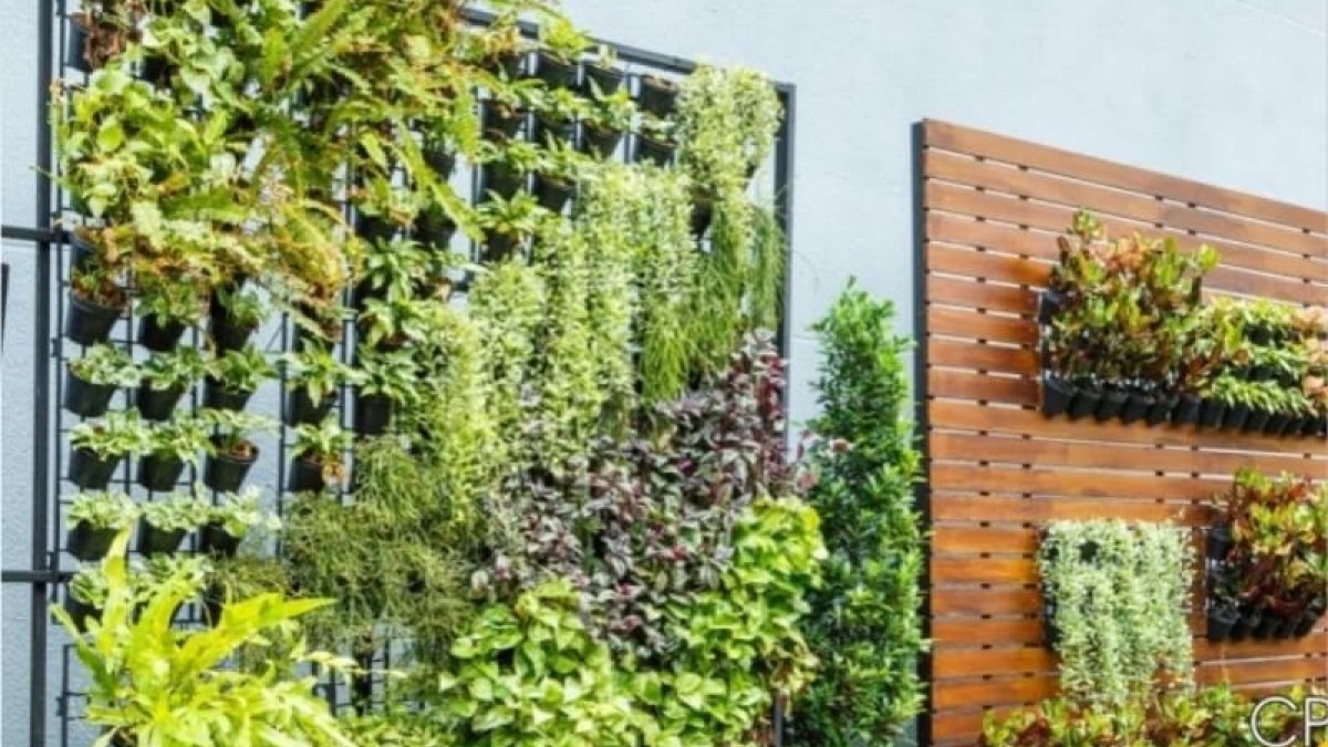 Jardins Verticais