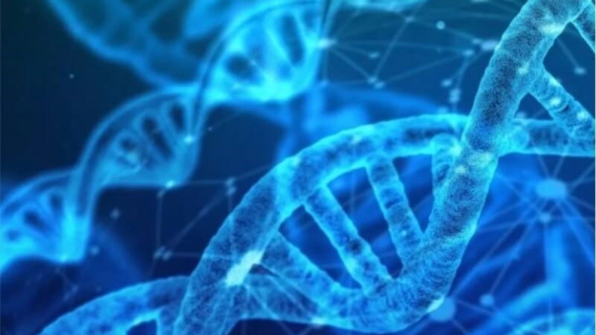 Curso de Biologia