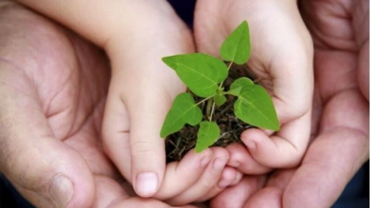 Proteção Ambiental