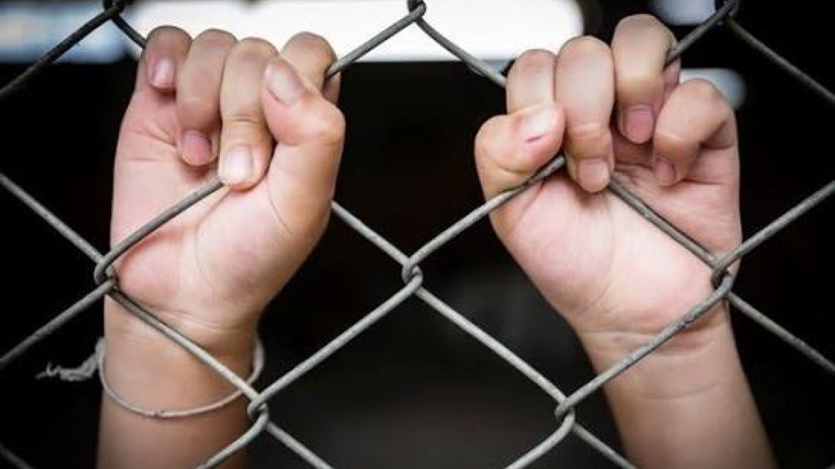 A Criança e o Adolescente em Confronto com a Lei