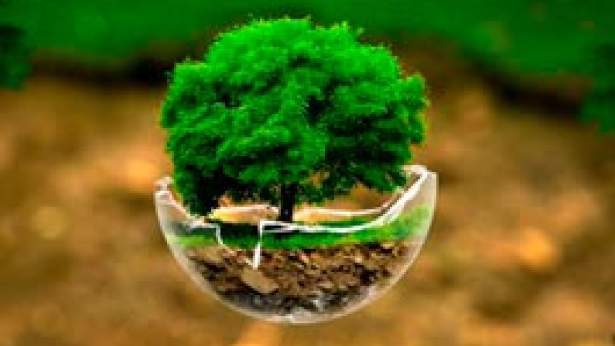 Gestão Ambiental